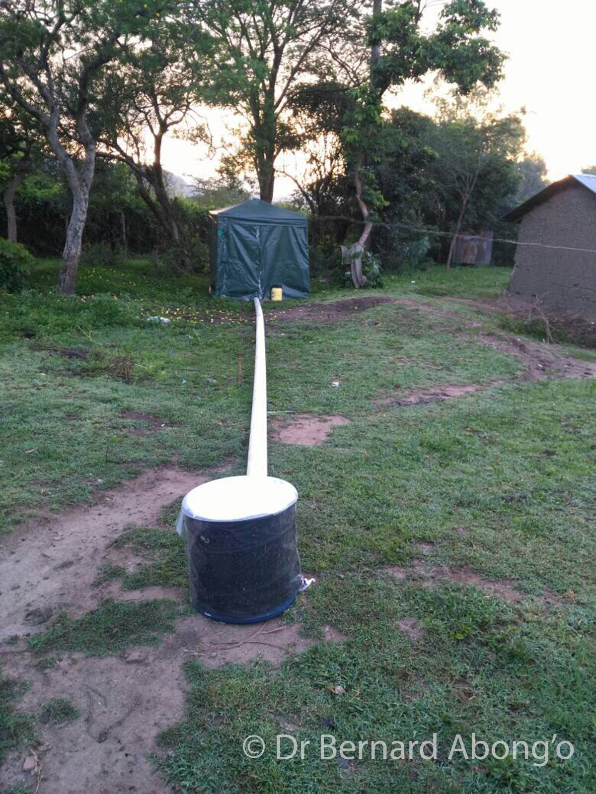 Test a novel trap design against standard surveillance techniques